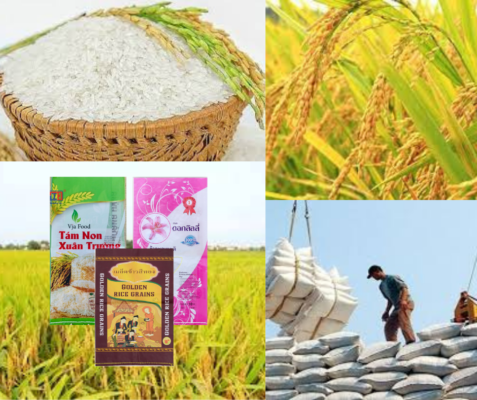Bao bì nông sản thuận Đức - nâng tầm giá trị nông sản Việt
