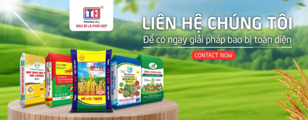 bao bì PP dệt